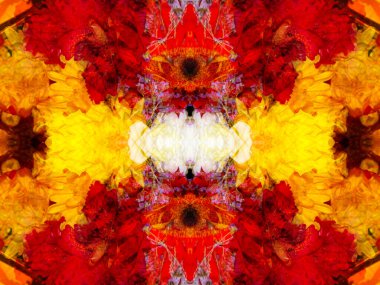 Bir objeyi ayna ile çekerken simetrik soyut arkaplan oluşturulur