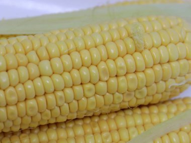 Hasattan sonra olgun mısırın kulakları