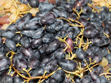 Olgun üzüm fırçaları güzel bir lezzet olarak