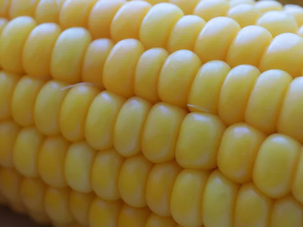 Прекрасні Стиглі Кукурудзяні Цицьки Приготовані Їжі — стокове фото