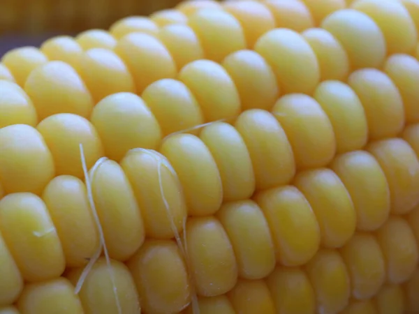 Прекрасні Стиглі Кукурудзяні Цицьки Приготовані Їжі — стокове фото