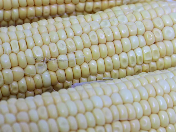 Hasattan sonra olgun mısırın kulakları