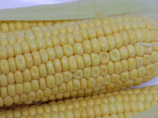 Hasattan sonra olgun mısırın kulakları