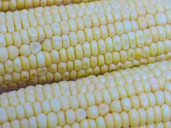 Hasattan sonra olgun mısırın kulakları