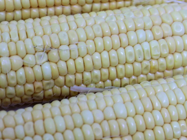 Hasattan sonra olgun mısırın kulakları