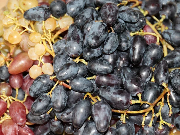 Borstels Van Rijpe Druiven Als Een Fijne Delicatesse — Stockfoto