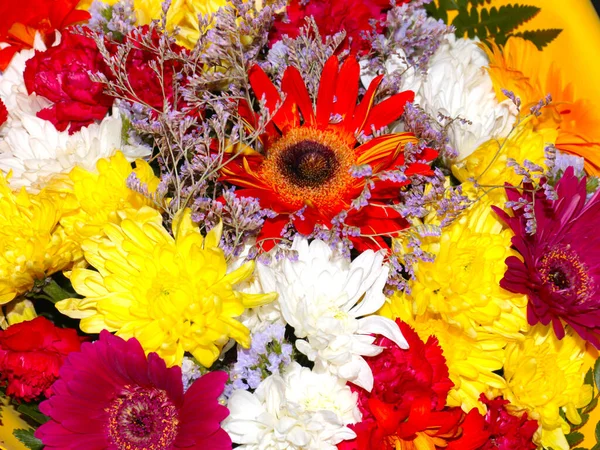 Schöne Blumen Einem Strauß Für Die Weihnachtsdekoration — Stockfoto