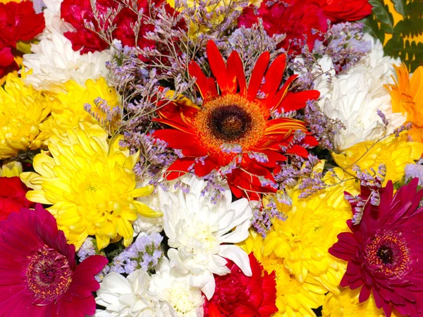 Schöne Blumen Einem Strauß Für Die Weihnachtsdekoration — Stockfoto