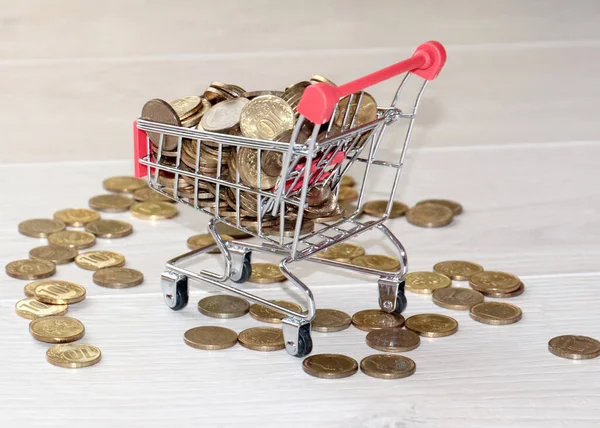metal coins russian ruble in a toy cart for food