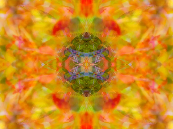 fancy symmetrical patterns in a mirror kaleidoscope