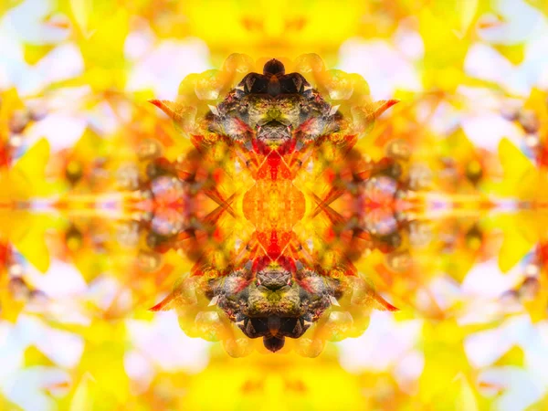 fancy symmetrical patterns in a mirror kaleidoscope