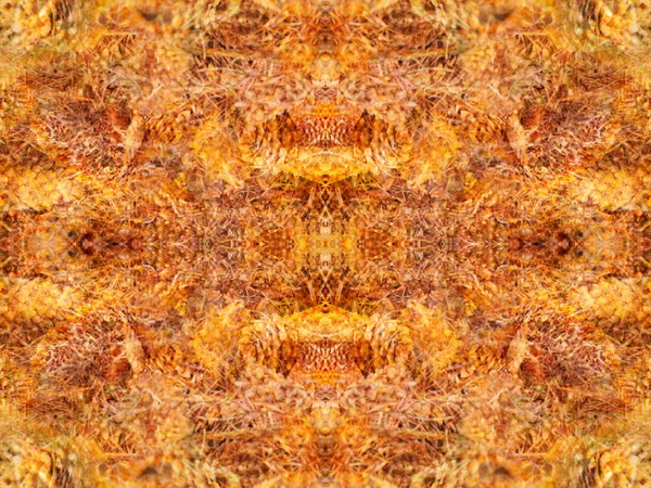 fancy symmetrical patterns in a mirror kaleidoscope