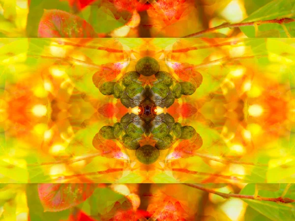 fancy symmetrical patterns in a mirror kaleidoscope