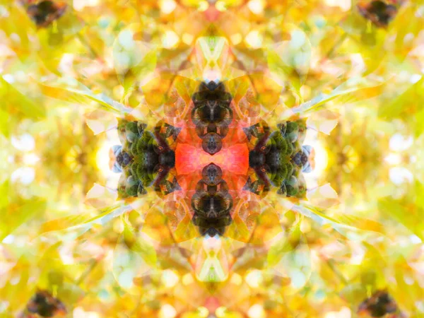 Motifs Symétriques Fantaisie Dans Kaléidoscope Miroir — Photo