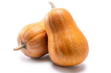 Beyaz arka planda yumuşak gölgeli kabak meyvesi