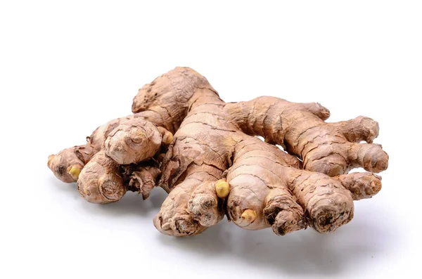 Ginger Root White Background Soft Shadow — Stock Photo, Image