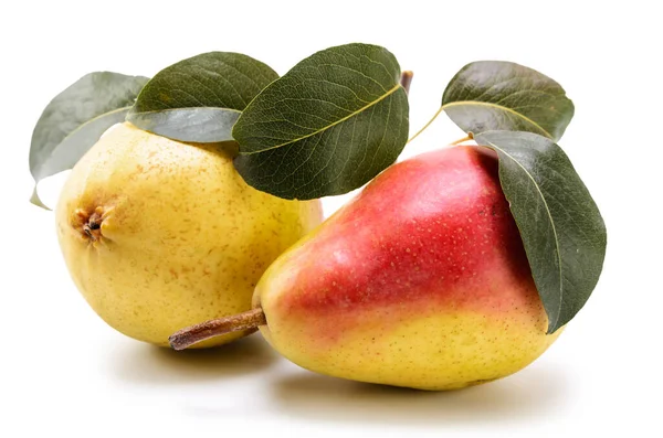 Frutti Pera Maturi Sfondo Bianco Con Ombra Morbida — Foto Stock