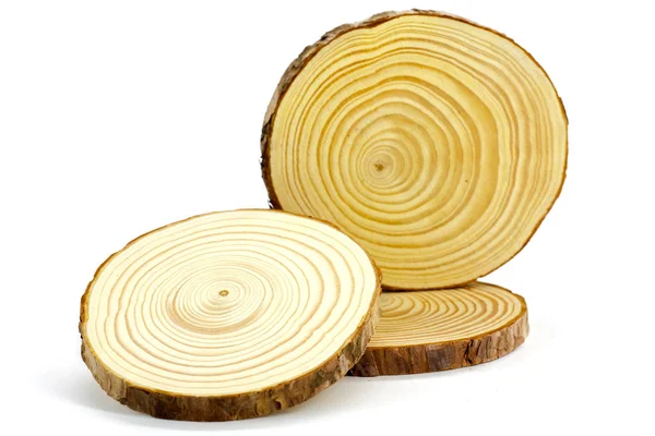 Natürliche runde Holzscheiben — Stockfoto