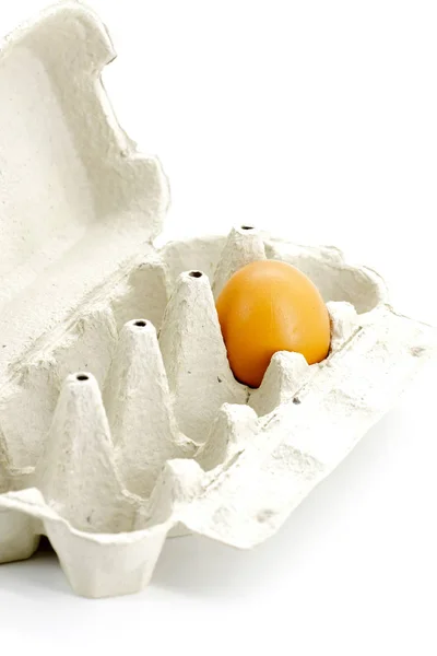 Egg in cardboard box made from recycled paper — Stock Photo, Image