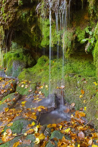 Detail of the waterway of a mountain waterfall, breathtaking. — Stock Photo, Image