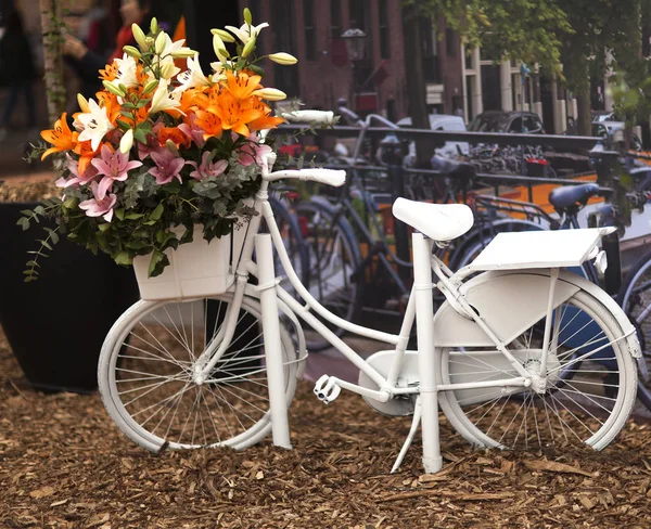 阿姆斯特丹典型的荷兰风光与白色自行车 — 图库照片