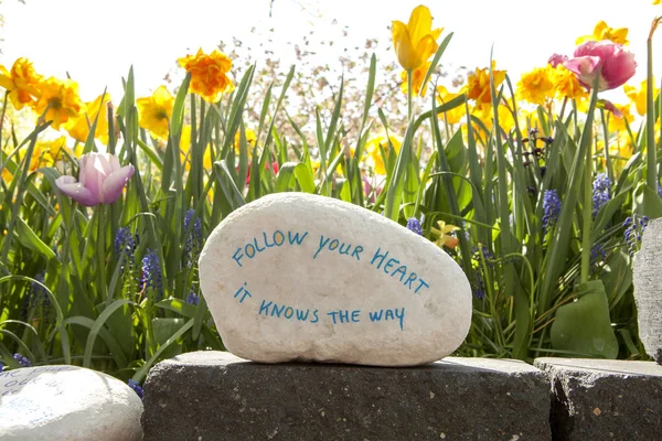 Stone with text: Follow your heart it knows the way against beau — Stock Photo, Image