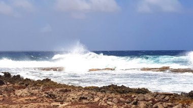 Bonaire sahilinde el salla