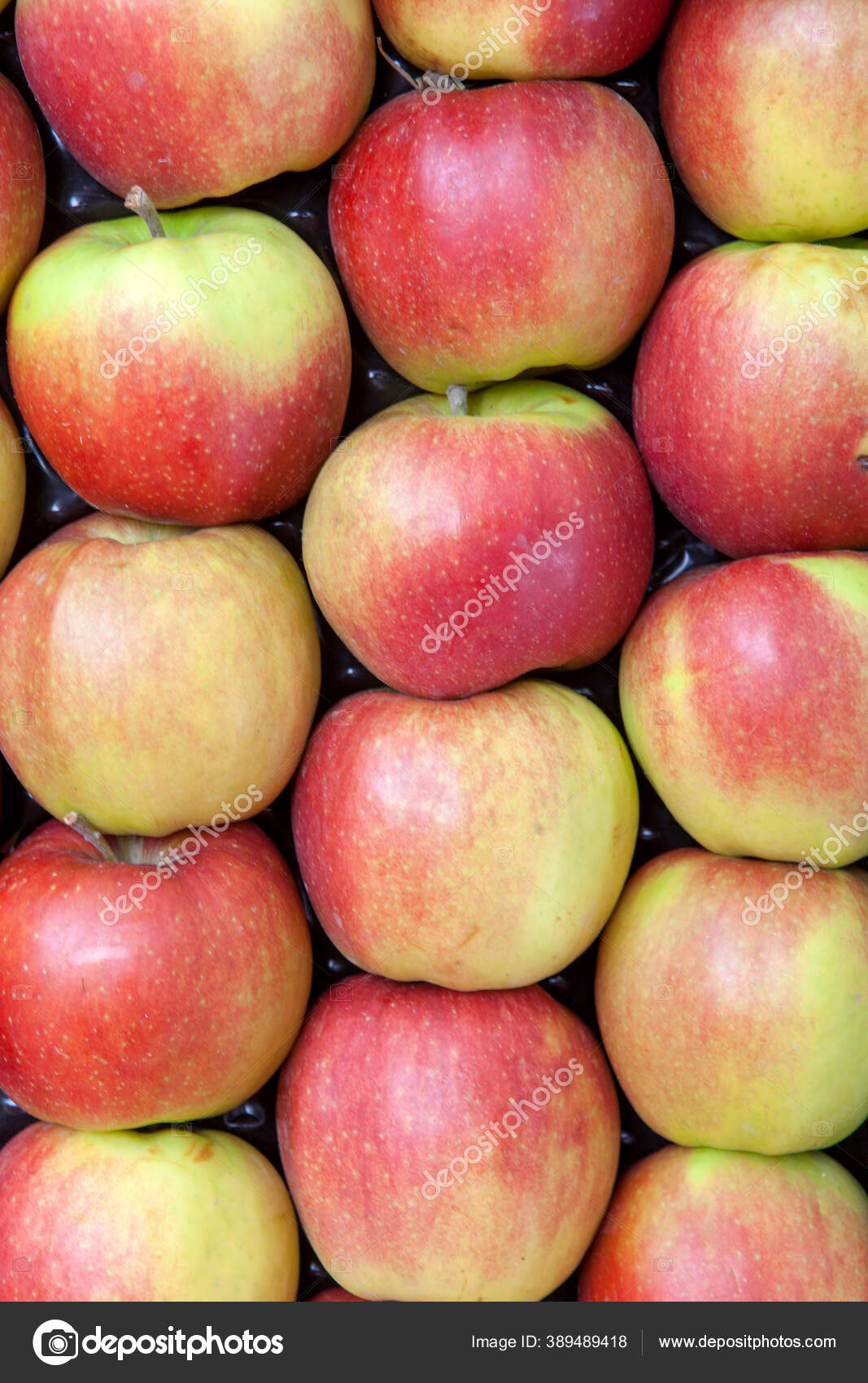 公文夹 Sannie32 图库照片 插图和矢量艺术 Depositphotos