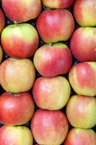 クローズアップにおける新鮮なリンゴの背景 ロイヤリティフリーのストック写真
