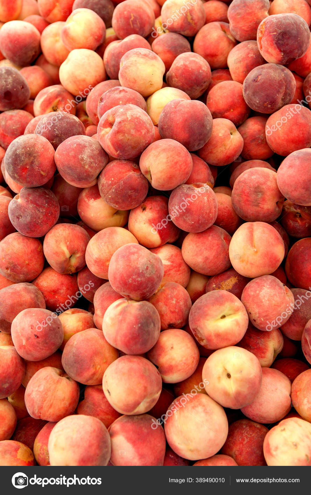 公文夹 Sannie32 图库照片 插图和矢量艺术 Depositphotos