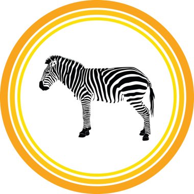 Zebra bir siluet vektör olarak
