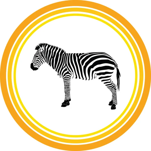 Zebra Silhouette Vector — Stock Vector