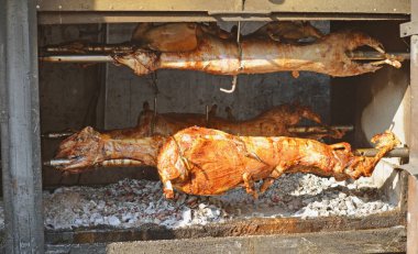 ızgara kuzu. kızarmış Kuzu