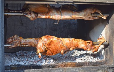 ızgara kuzu. kızarmış Kuzu