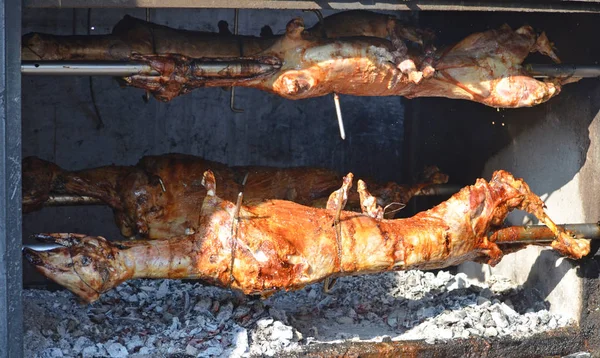 Cordero Plancha Cordero Asado — Foto de Stock