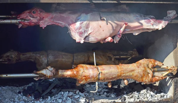 Cordero Plancha Cordero Asado —  Fotos de Stock