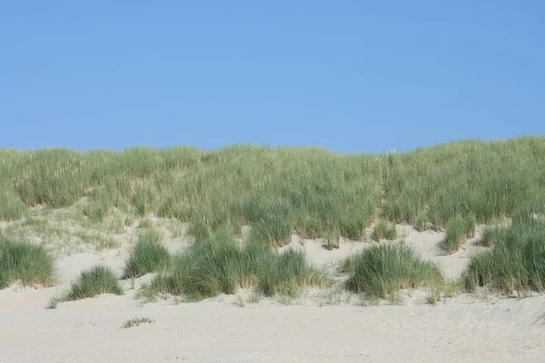 Dunas Largo Costa Del Mar Del Norte Bélgica — Foto de Stock