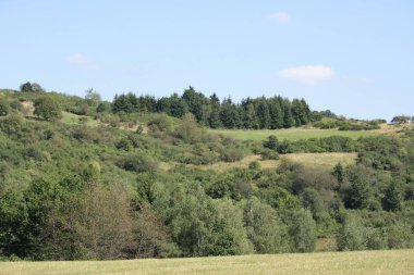 Dağ manzarası arka planda mavi gökyüzü ile orman ve çayır,