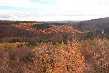 Hunsrueck-Hochwald Ulusal Parkı, Almanya 'da Rhineland-Palatinate ve Saarland eyaletlerinin Hunsrueck bölgesinde bulunan ulusal park.
