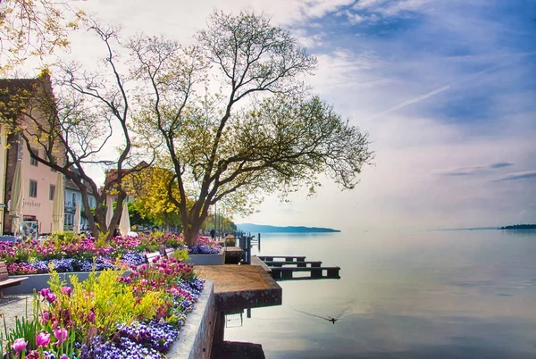 Kvetoucí Břeh Bodamského Jezera Jaře — Stock fotografie