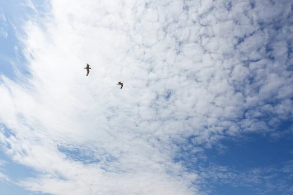 Clouds in the sky — Stock Photo, Image