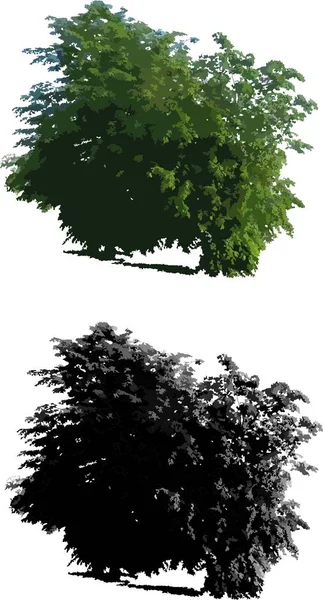 Träd siluetter vektor — Stock vektor
