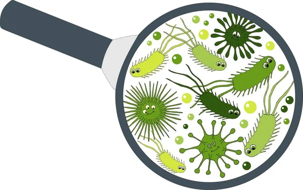 Microorganismo bacteriano en una lupa. Conjunto colorido de bacterias y gérmenes, microorganismos, bacterias, virus, hongos, protozoos bajo el vidrio rejuvenecedor . — Archivo Imágenes Vectoriales