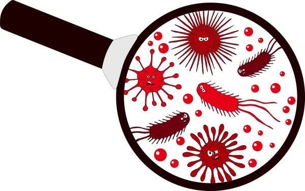 Microorganismo bacteriano en una lupa. Conjunto colorido de bacterias y gérmenes, microorganismos, bacterias, virus, protozoos bajo el vidrio rejuvenecedor . — Archivo Imágenes Vectoriales