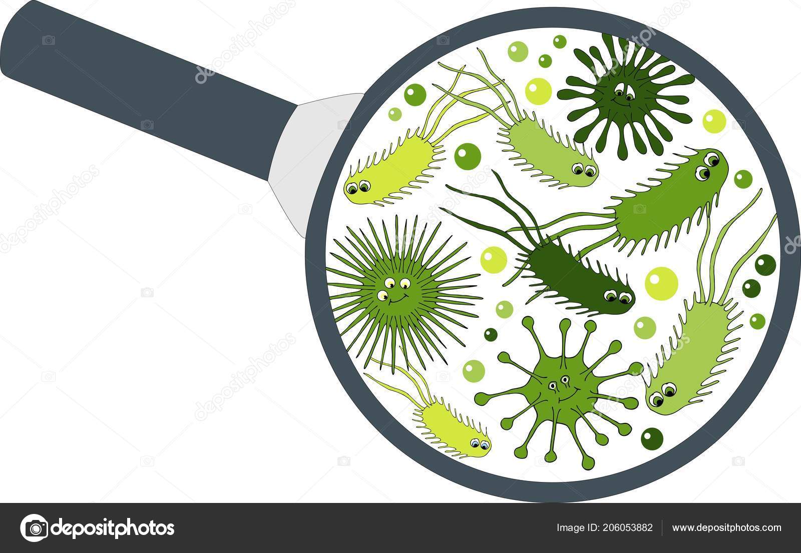 微生物图库照片 免版税微生物图片 Depositphotos