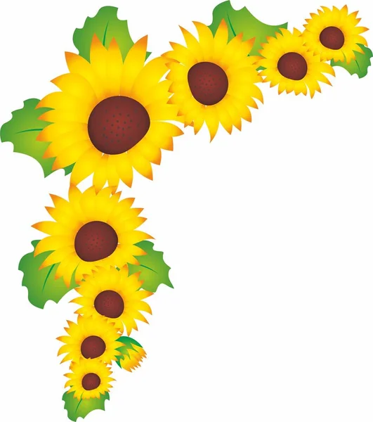 Sunflower design template. Sunflower frame corner composition. — Stock Photo, Image