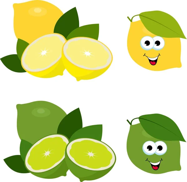 Citrusfélék. Friss citrom és lime, gyűjteménye vektor illusztrációk. Egész és vágott lime és citrom gyümölcs elszigetelt — Stock Vector