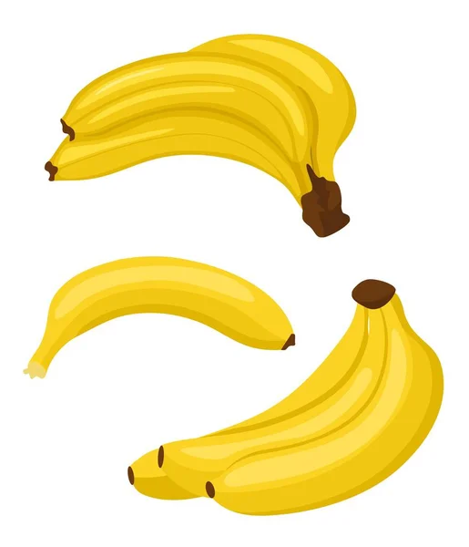 Bananenset vorhanden. Bündel frischer Bananenfrüchte und einzelne Bananen isoliert auf weißem Hintergrund, Sammlung von Vektorillustrationen — Stockvektor
