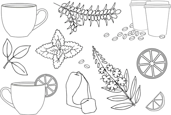 Xícara de chá quente, xícara de chá de ervas. Vários ingredientes de chá de ervas coleção sobre fundo branco. Conjunto de ilustrações vetoriais . — Vetor de Stock