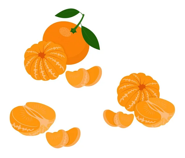 普通话, 橘子, 克莱门汀与叶子查出在白色背景。柑橘类水果。矢量插图 — 图库矢量图片